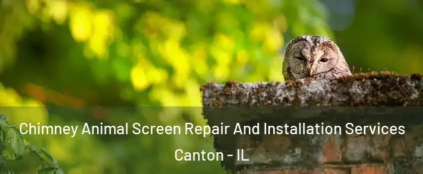  Chimney Animal Screen Repair And Installation Services Canton - IL