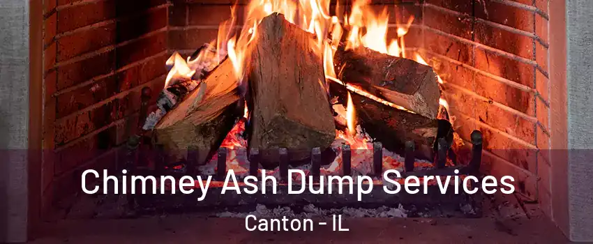  Chimney Ash Dump Services Canton - IL
