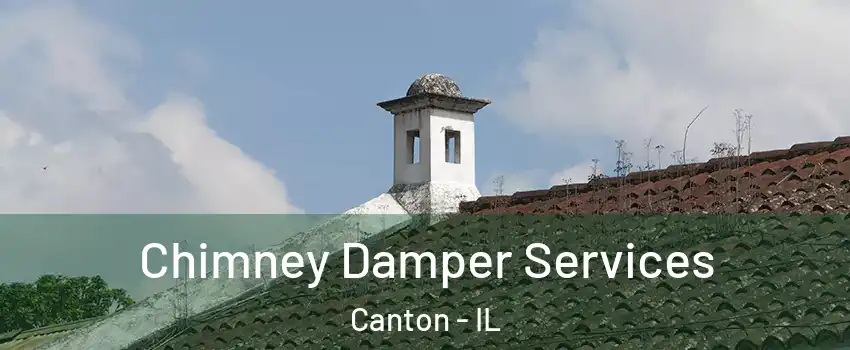  Chimney Damper Services Canton - IL