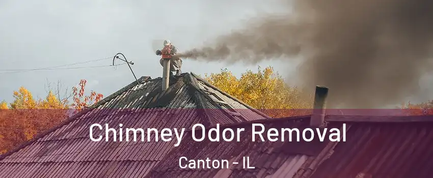  Chimney Odor Removal Canton - IL
