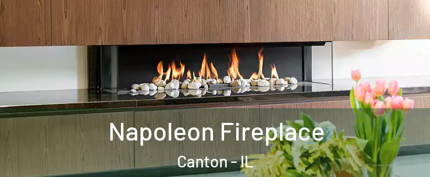  Napoleon Fireplace Canton - IL