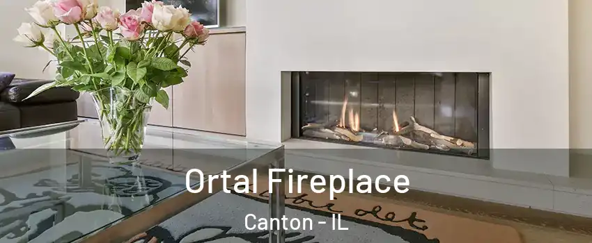  Ortal Fireplace Canton - IL